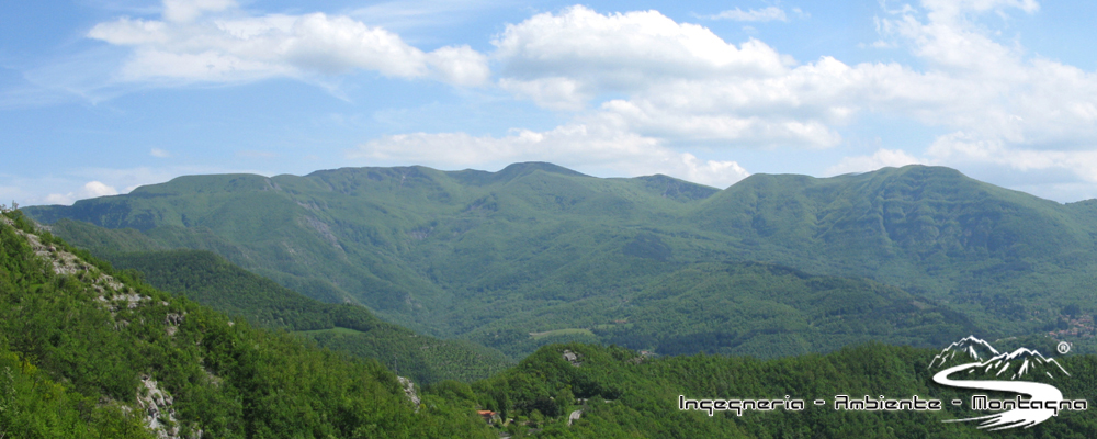 Monte Falterona